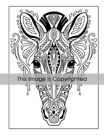 120 Animals Adult Coloring Book - Ryan Color